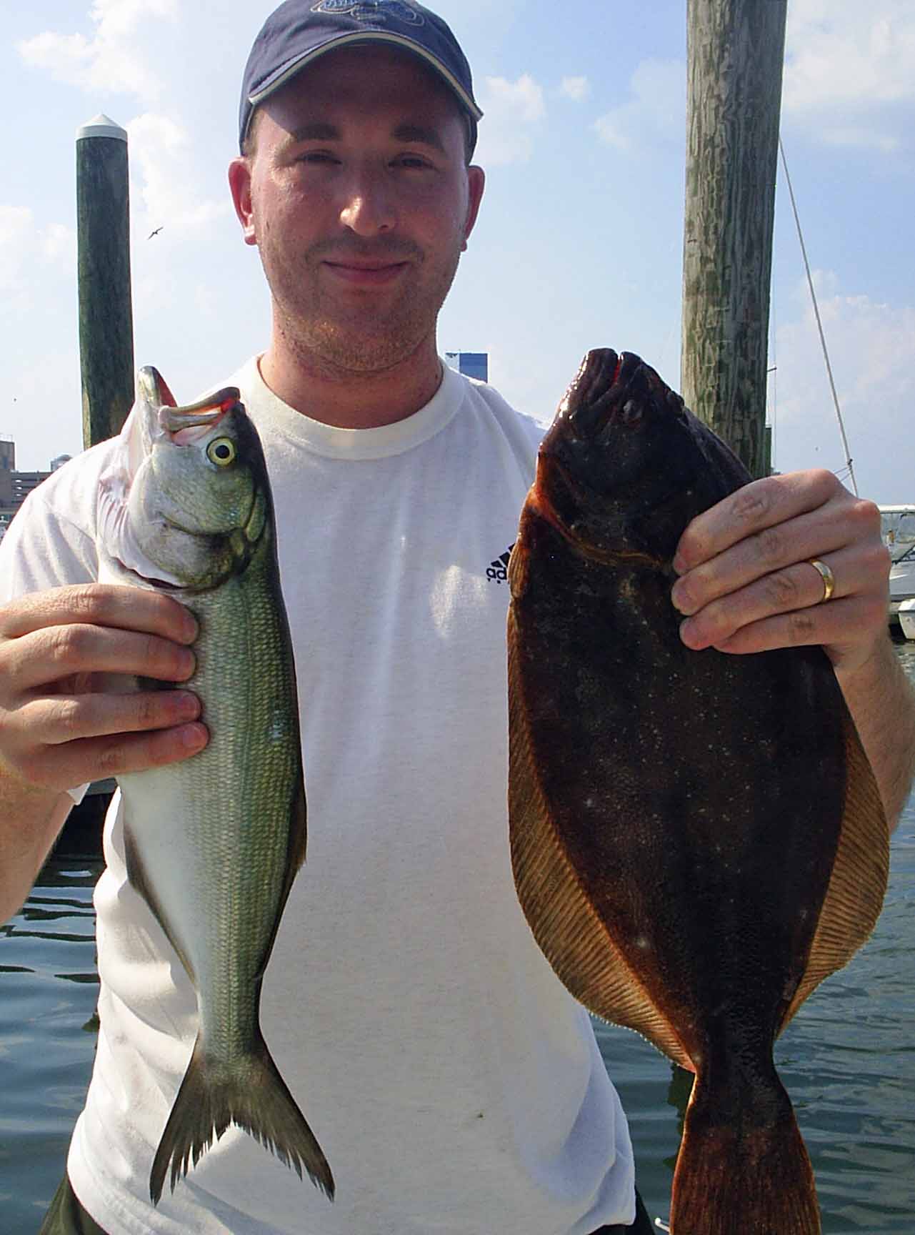 bluefish and flounder