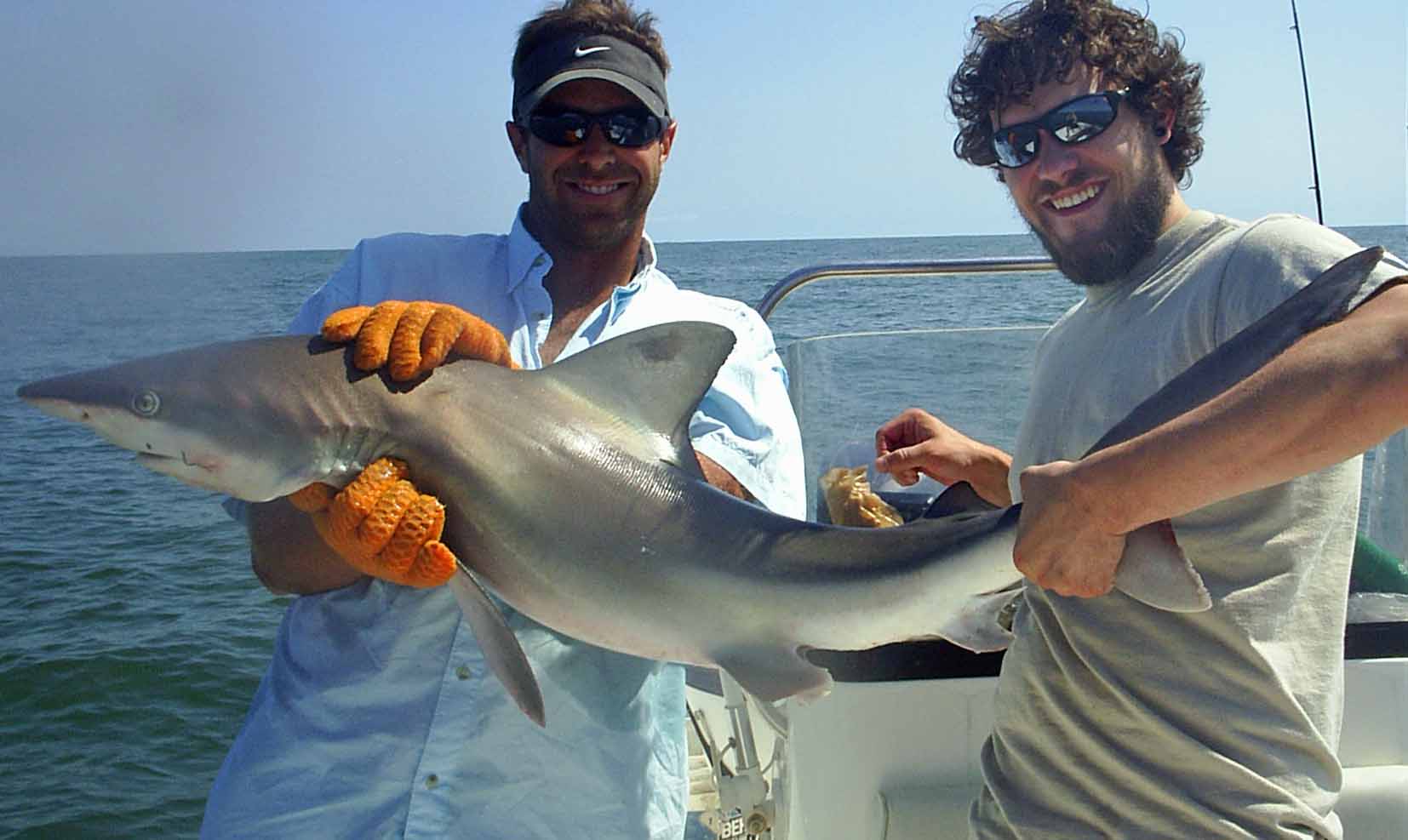 sharks in new jersey