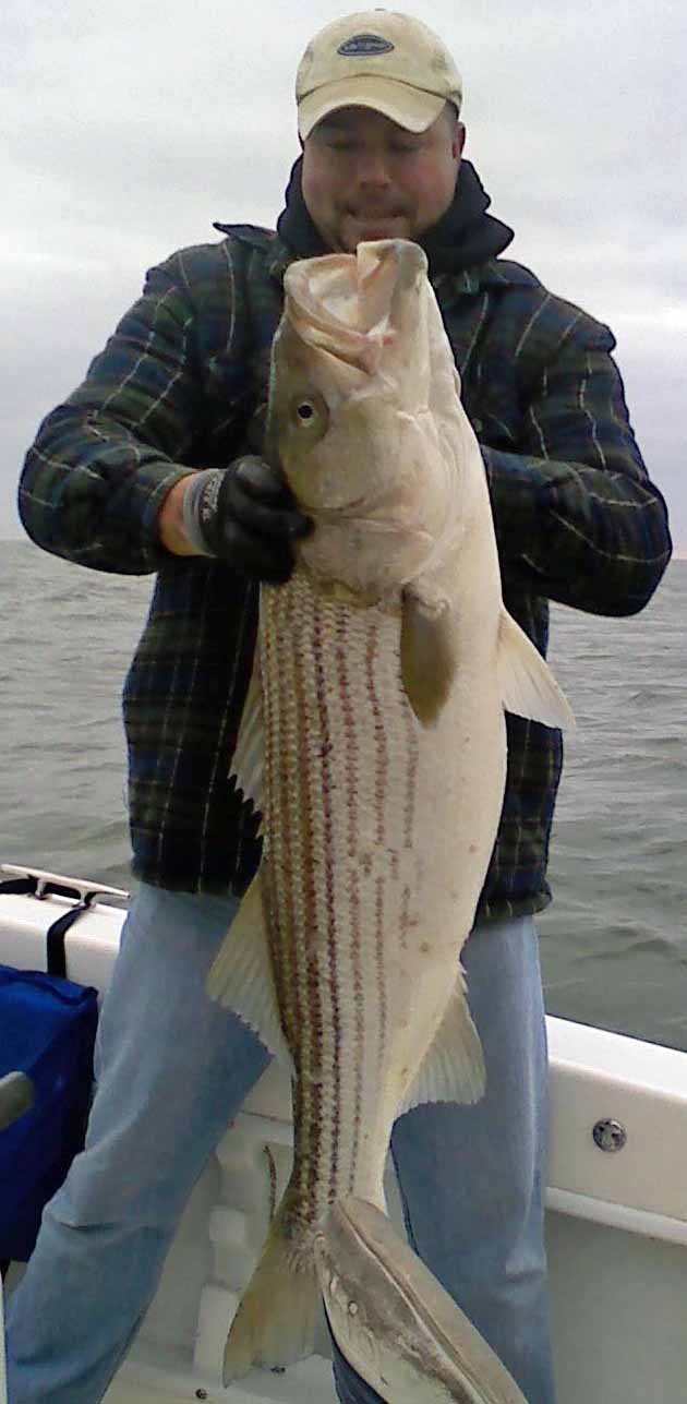 striper fishing