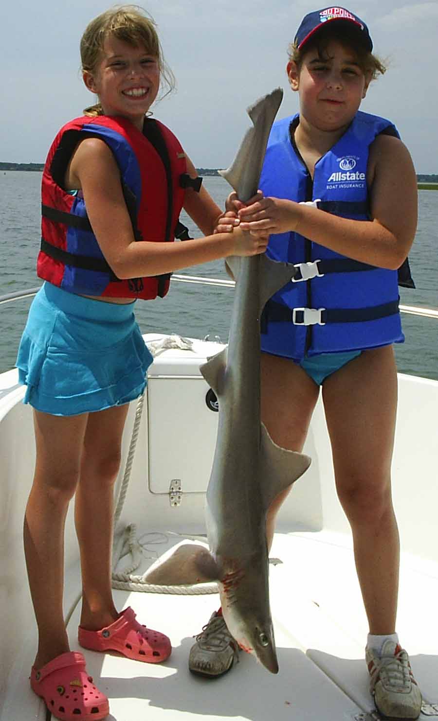 Catch various species!  Sharks, too!