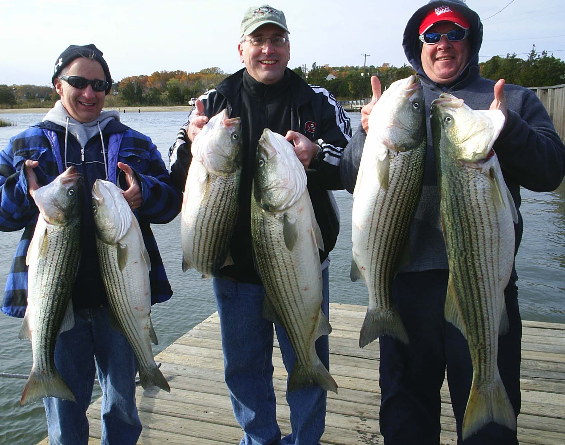 Brigantine striped bass catch