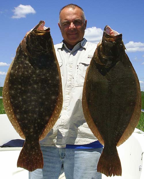 Atlantic City doormat fluke, Atlantic City fluke charter, Atlantic City back bay flounder, South Jersey flounder fishing, South Jersey flounder fishing guide, Back bay flounder captains, ocean fluke fishing