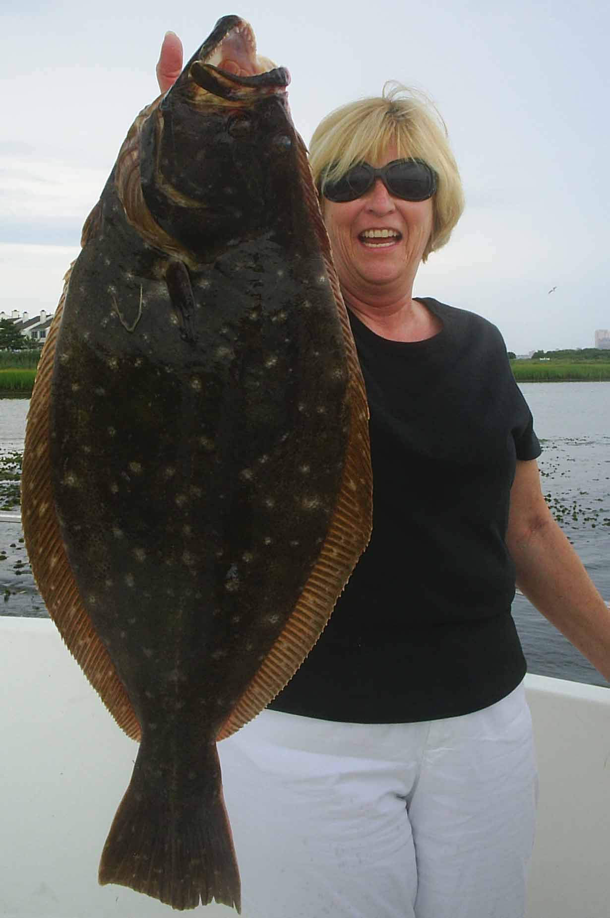 doormat flounder