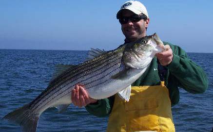 newhall_scott_striper.jpg